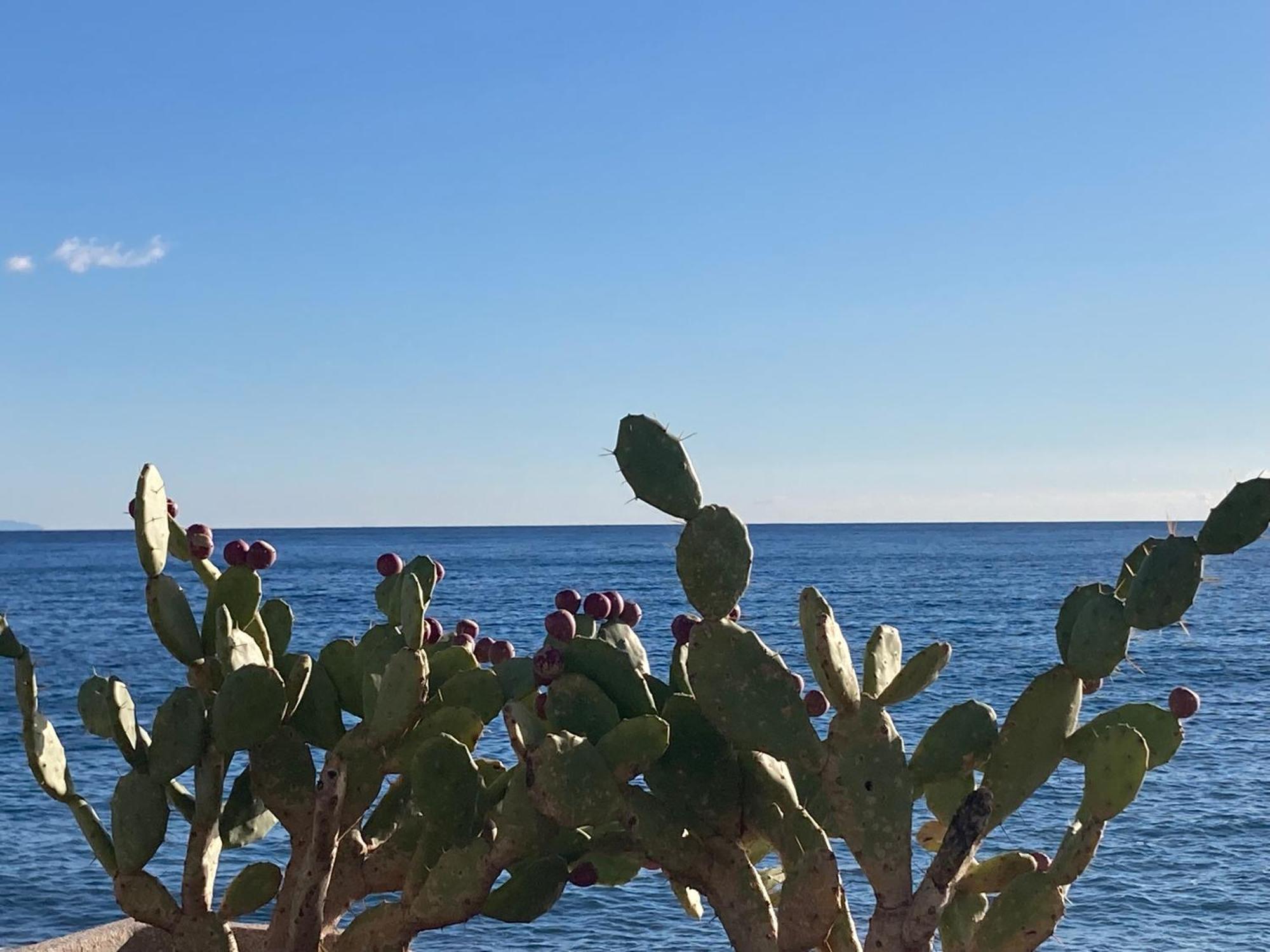 Taliari Taormina Apartment 外观 照片